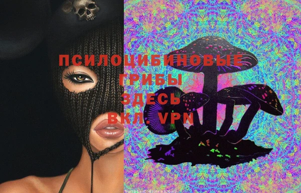 бутират Алзамай