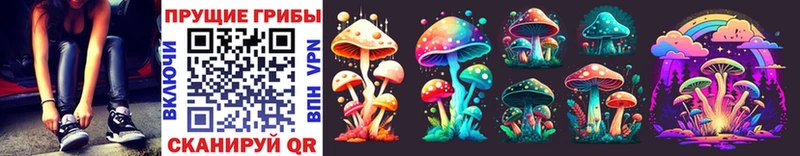 mega tor  Нижний Ломов  Галлюциногенные грибы GOLDEN TEACHER 