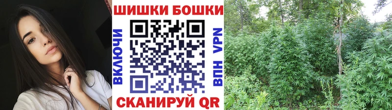 где найти   Нижний Ломов  Конопля сатива 